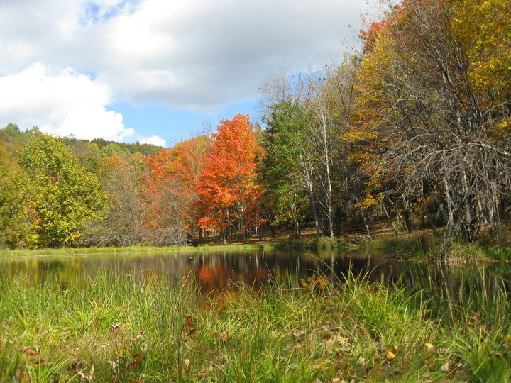 Blue Bear Mountain Camp
